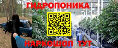 PSILOCYBIN Анжеро-Судженск