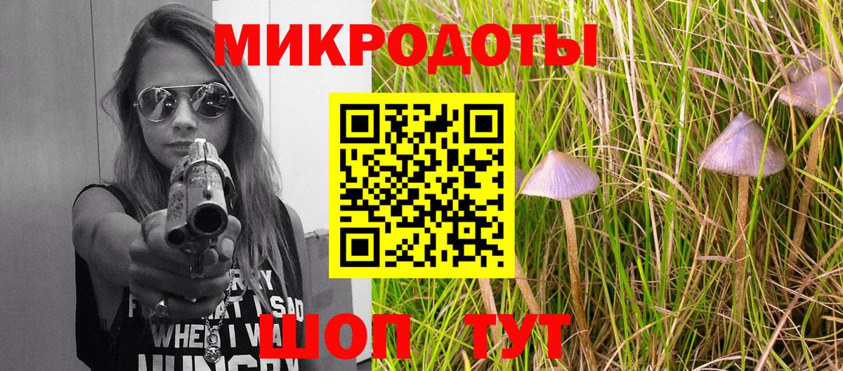 Псилоцибиновые грибы мицелий  Вход с VPN  Гусев 